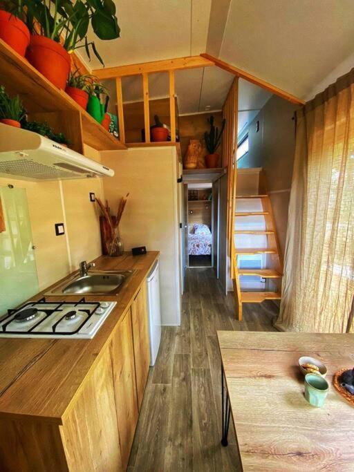 Tiny Liloumaca Coeur Ste Baume Villa Plan d'Aups Ngoại thất bức ảnh